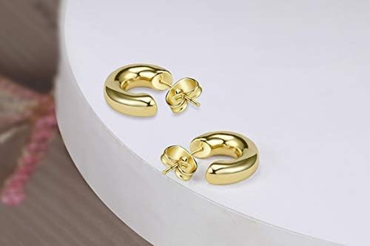 Small Gold Hoop Earrings for Women Chunky Mini Thick Gold Hoops 14K Plated Gift